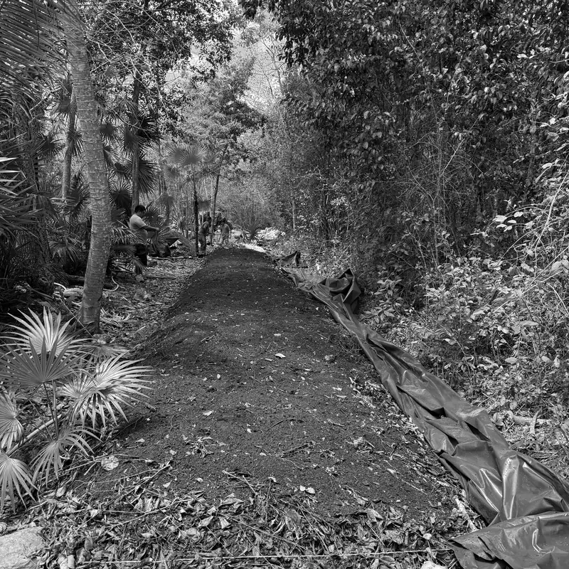 Tierra oscura de vivero, apilada y lista